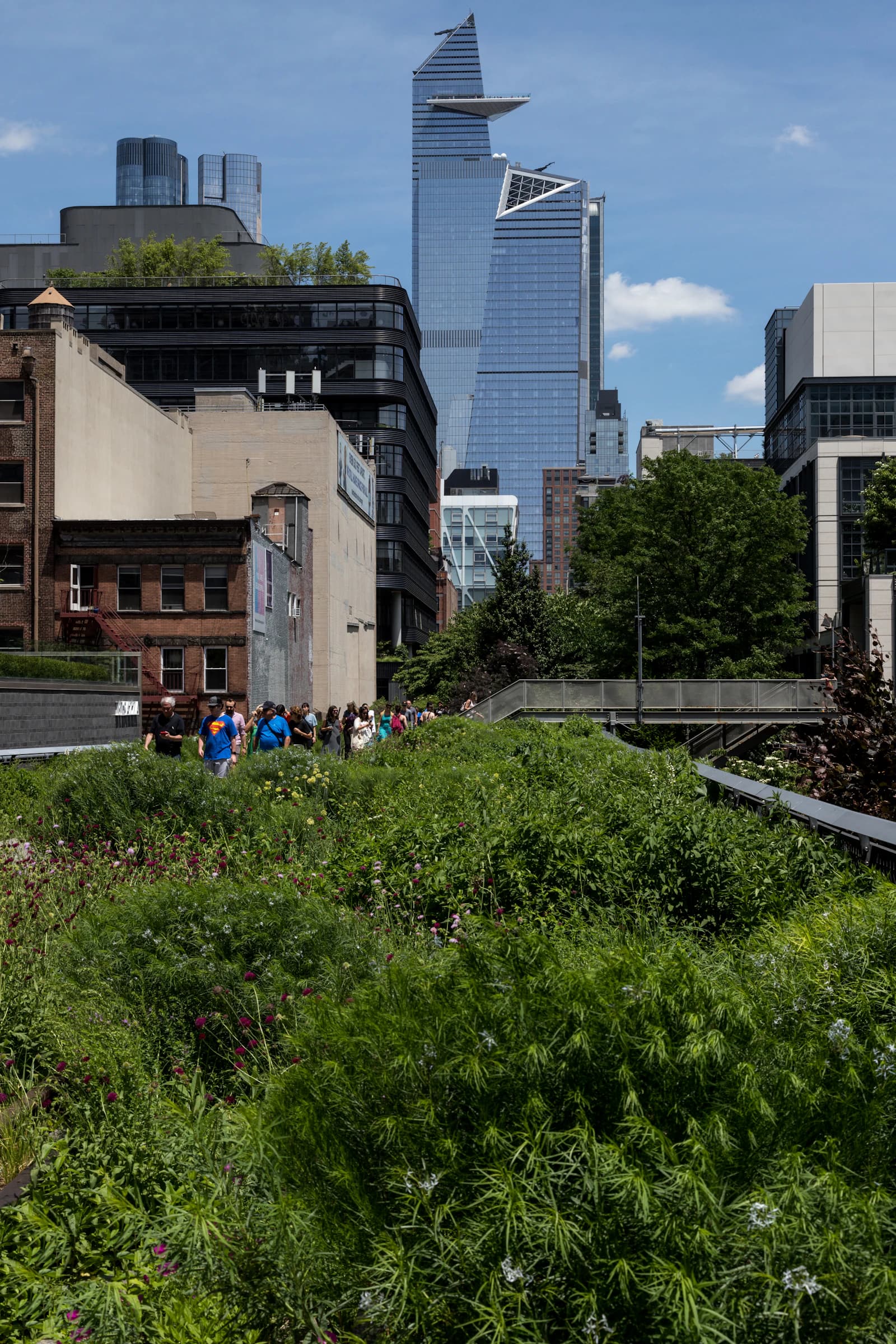 People walking on the High Line among gardens and Manhattan buildings