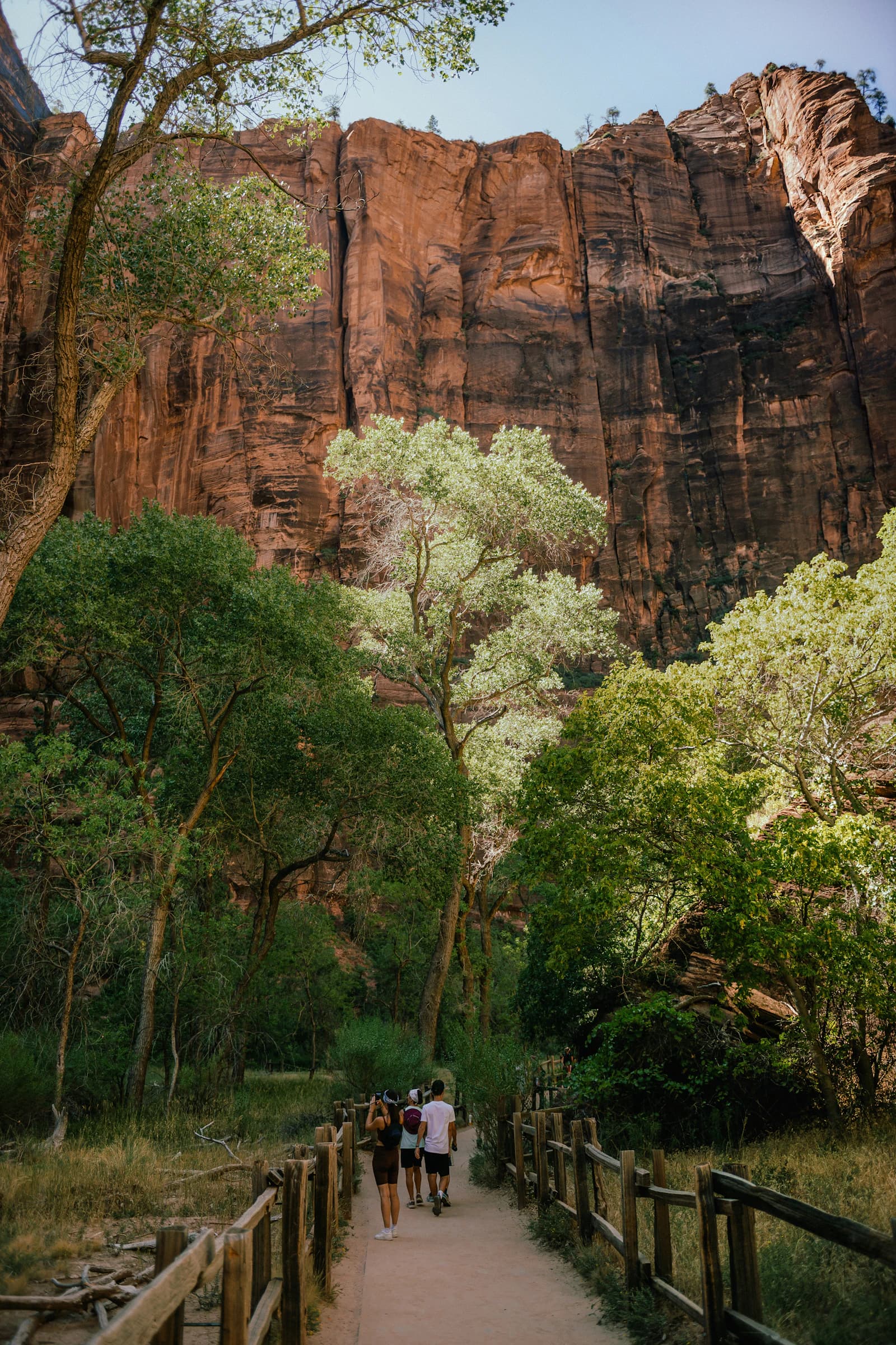 Sandstone cliffs and trees in Zion National Park