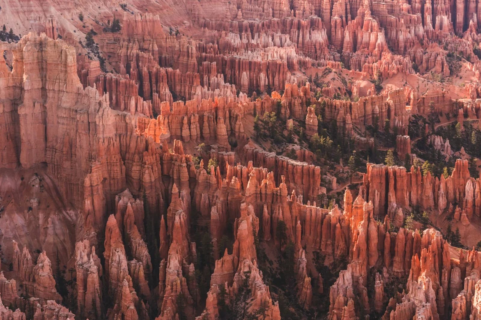 Formaciones de roca rosas y naranjas desde Sunrise Point en Bryce Canyon