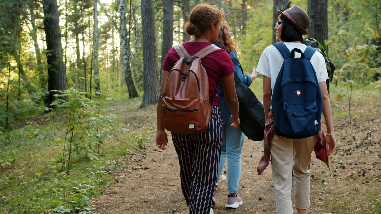 Amigos con mochilas en un sendero por el bosque