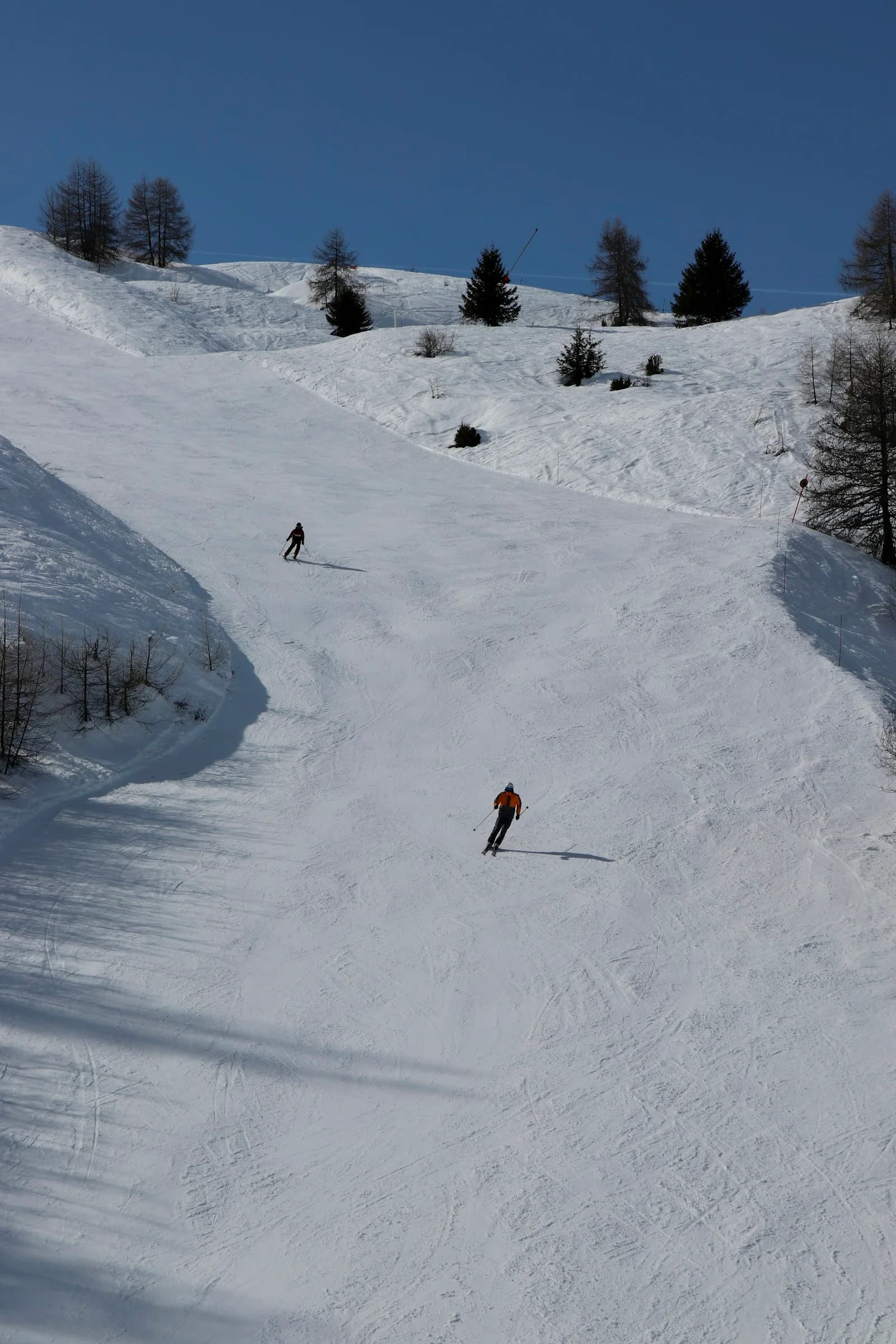 Dos esquiadores bajando una pista nevada entre árboles